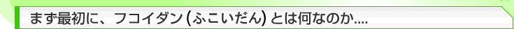 �t�R�C�_���i�ӂ�������j�Ƃ͉��Ȃ̂��c