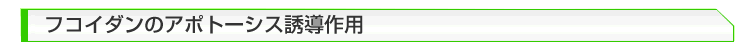 �t�R�C�_���̃A�|�g�[�V�X�U����p